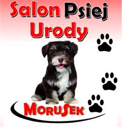 Salon Psiej Urody Morusek, Łódź godziny otwarcia