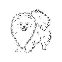 Doglandia II psi fryzjer, Brzeg godziny otwarcia
