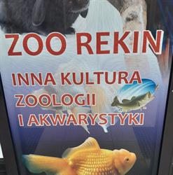 Zoo Rekin, Rybnik godziny otwarcia