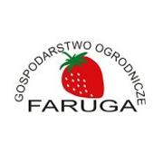 Gospodarstwo Ogrodnicze Faruga, Pruchna godziny otwarcia