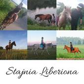 Stajnia Liberiona, Obryte godziny otwarcia