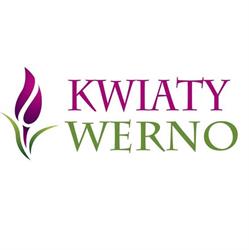 Kwiaty Werno, Ostrołęka godziny otwarcia