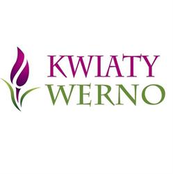 Kwiaty Werno, Ostrołęka godziny otwarcia