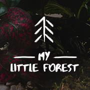 MY LITTLE FOREST, Warszawa godziny otwarcia