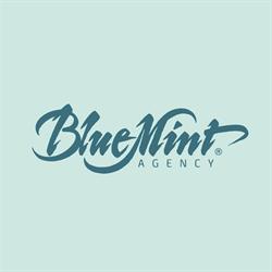 BlueMint-Marketing Internetowy, Wejherowo godziny otwarcia