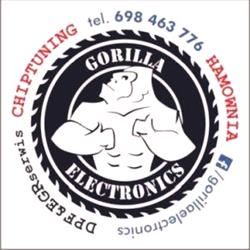 Gorilla Electronics, Wodzisław Śląski godziny otwarcia