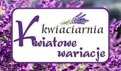 Kwiatowe wariacje Monika Czarnota, Piekoszów godziny otwarcia