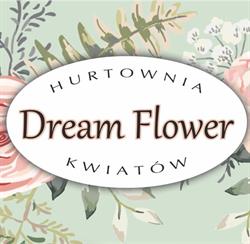 DREAM-FLOWER, Rzeszów godziny otwarcia