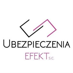 Ubezpieczenia EFEKT s.c., Mysłowice godziny otwarcia