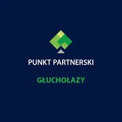 CUK Ubezpieczenia, Głuchołazy godziny otwarcia