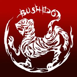Centrum Sztuk Walki Bushido, Gdynia godziny otwarcia