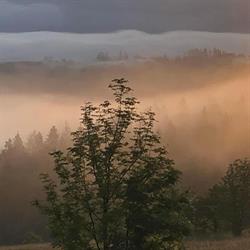 WILLA NATURA Gliczarów Górny, godziny otwarcia