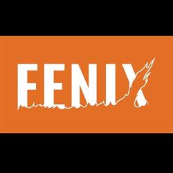 Pizzeria FENIX - FastFood & Dania obiadowe, Ruda Strawczyńska godziny otwarcia