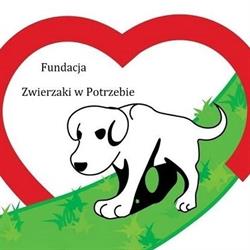 Fundacja Zwierzaki w Potrzebie, Wołomin godziny otwarcia