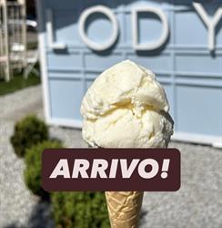 Lody Rzemieślnicze na Gaju, Wrocław godziny otwarcia