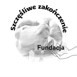 Fundacja Szczęśliwe zakończenie, Strzegom godziny otwarcia