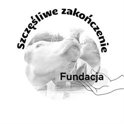 Fundacja Szczęśliwe zakończenie, Strzegom godziny otwarcia
