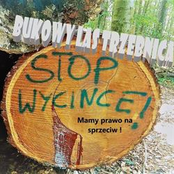 Las Bukowy, Trzebnica godziny otwarcia