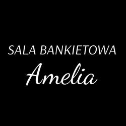 Sala Bankietowa AMELIA, Częstochowa godziny otwarcia