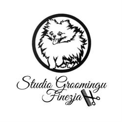 Studio Groomingu Finezja, Środa Wielkopolska godziny otwarcia