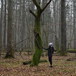 Biuro Dzikie Podlasie - Turystyka Przyrodnicza Monika Żłobin-Kozak, Białowieża godziny otwarcia