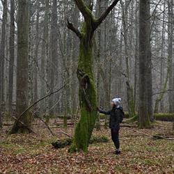 Biuro Dzikie Podlasie - Turystyka Przyrodnicza Monika Żłobin-Kozak, Białowieża godziny otwarcia