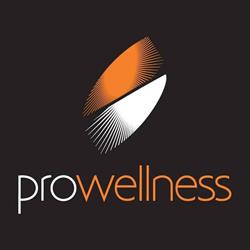 Pro-Wellness - jacuzzi Hot Spring, baseny z przeciwprądem, fotele masujące, Wojkowice Kościelne godziny otwarcia