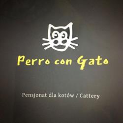 Perro con Gato - pensjonat dla kotów, Nadarzyn godziny otwarcia
