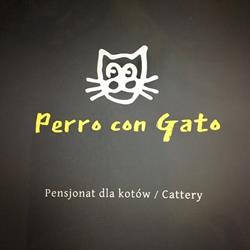 Perro con Gato - pensjonat dla kotów, Nadarzyn godziny otwarcia