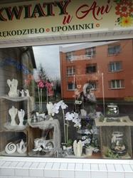 Kwiaciarnia u Ani, Kędzierzyn-Koźle godziny otwarcia