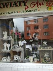 Kwiaciarnia u Ani, Kędzierzyn-Koźle godziny otwarcia