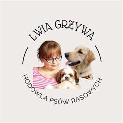 Hodowla Shih Tzu i Golden Retriever "Lwia Grzywa", Strzepcz godziny otwarcia