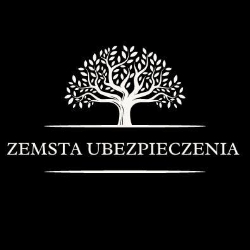 Zemsta Ubezpieczenia Rejestracja Pojazdów, Słubice godziny otwarcia
