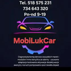 MobiLukCar-mobilna elektromechanika aut, Gdynia godziny otwarcia