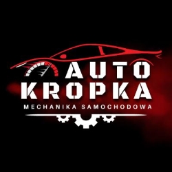Auto Serwis Kropka - warsztat samochodowy Łódź, godziny otwarcia