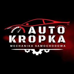 Auto Serwis Kropka - warsztat samochodowy Łódź, godziny otwarcia