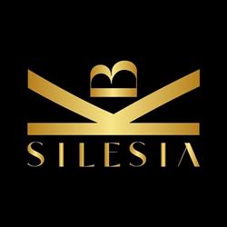 Silesia Capital - Eksperci Kredytowi, Katowice godziny otwarcia