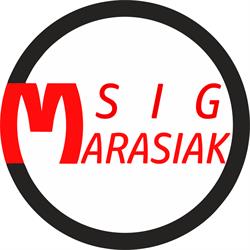 Montaż Samochodowych Instalacji Gazowych Dorota Marasiak, Bełchatów godziny otwarcia