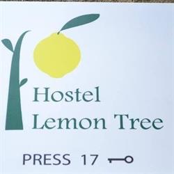 Lemon Tree Hostel, Kraków godziny otwarcia