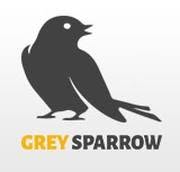 Grey Sparrow Filip Lendzion, Nowe Miasto Lubawskie godziny otwarcia