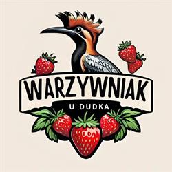 Warzywniak "u Dudka", Łódź godziny otwarcia