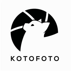 Koto Piotr Kochanowski, Olsztyn godziny otwarcia