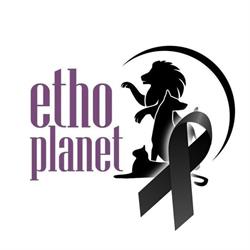 Ethoplanet Etologiczne Centrum Szkoleniowo-Doradcze, Czarnowiec godziny otwarcia