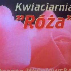 Kwiaciarnia Róża, Dębica godziny otwarcia