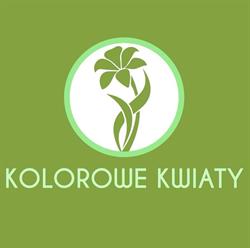 Kolorowe Kwiaty Paweł Kubik, Winowno godziny otwarcia