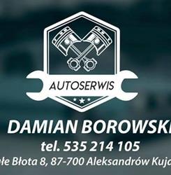 AUTO SERWIS Damian Borowski, Aleksandrów Kujawski godziny otwarcia
