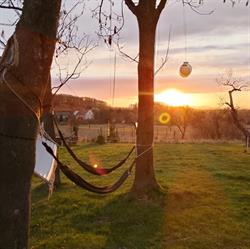 W polu dobrej energii, Kalinowice Górne godziny otwarcia