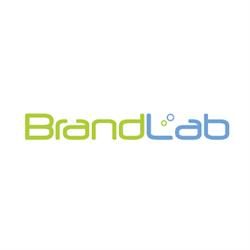 Brandlab PR Sp. z o.o. Sp. k., Warszawa godziny otwarcia