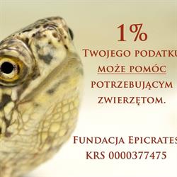 FUNDACJA "EPICRATES", Lublin godziny otwarcia