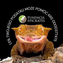 FUNDACJA "EPICRATES", Lublin godziny otwarcia